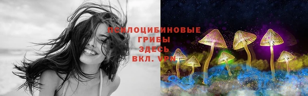 spice Осинники