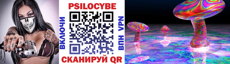 Галлюциногенные грибы Psilocybine cubensis  Сосенский 